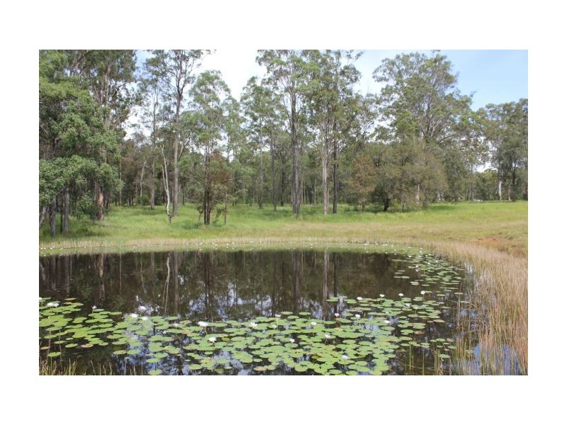 963 Wooli Rd, Wooli NSW 2462