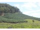 632 Firth Heinz Road, Pillar Valley NSW 2462
