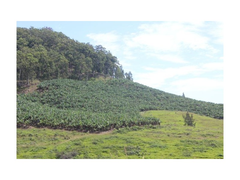 632 Firth Heinz Road, Pillar Valley NSW 2462