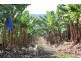 632 Firth Heinz Road, Pillar Valley NSW 2462