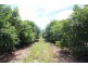 632 Firth Heinz Road, Pillar Valley NSW 2462