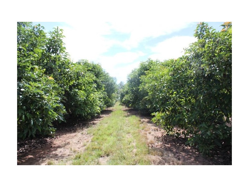 632 Firth Heinz Road, Pillar Valley NSW 2462