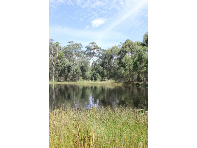 632 Firth Heinz Road, Pillar Valley NSW 2462