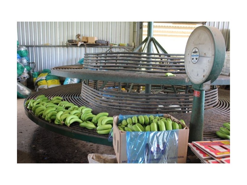632 Firth Heinz Road, Pillar Valley NSW 2462