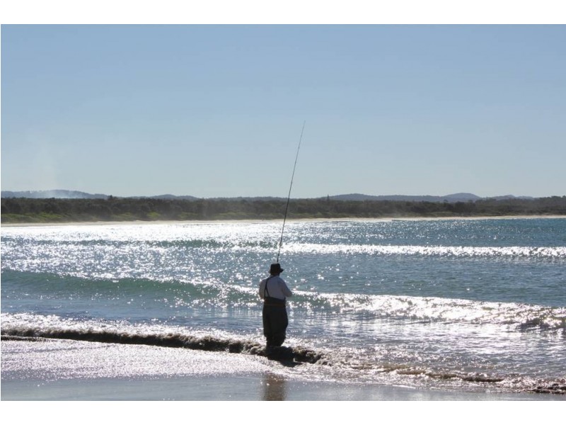 35 Arrawarra Beach Road, Arrawarra NSW 2456