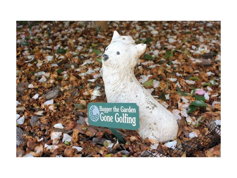 17 Ocean Links Close, Safety Beach NSW 2456