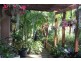 28 St Andrews Drive, Woolgoolga NSW 2456