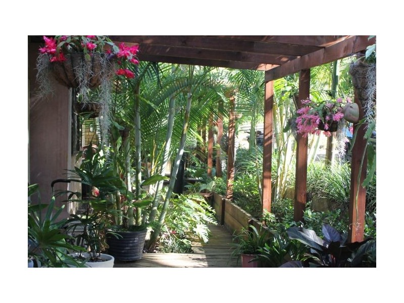 28 St Andrews Drive, Woolgoolga NSW 2456