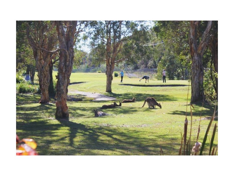 24 Ocean Links Close, Safety Beach NSW 2456