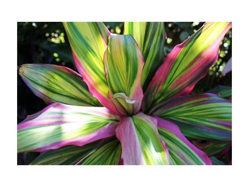 24 Ocean Links Close, Safety Beach NSW 2456