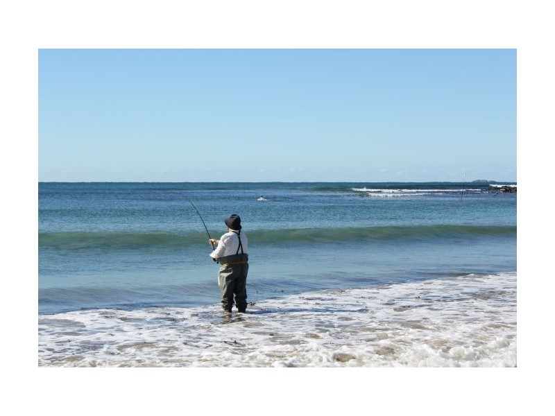 35 Arrawarra Beach rd, Arrawarra NSW 2456