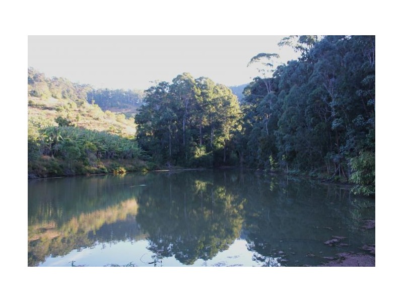 Lot 1 Newmans Road, Woolgoolga NSW 2456