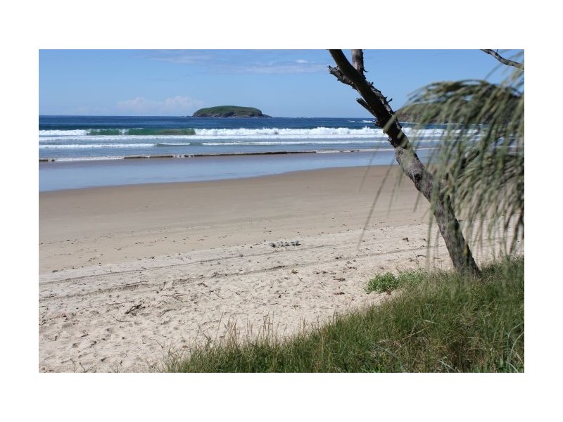 17  Ti Tree Road, Sandy Beach NSW 2456