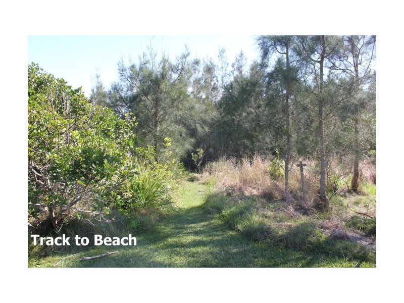 31 Headland Road, Arrawarra Headland NSW 2456