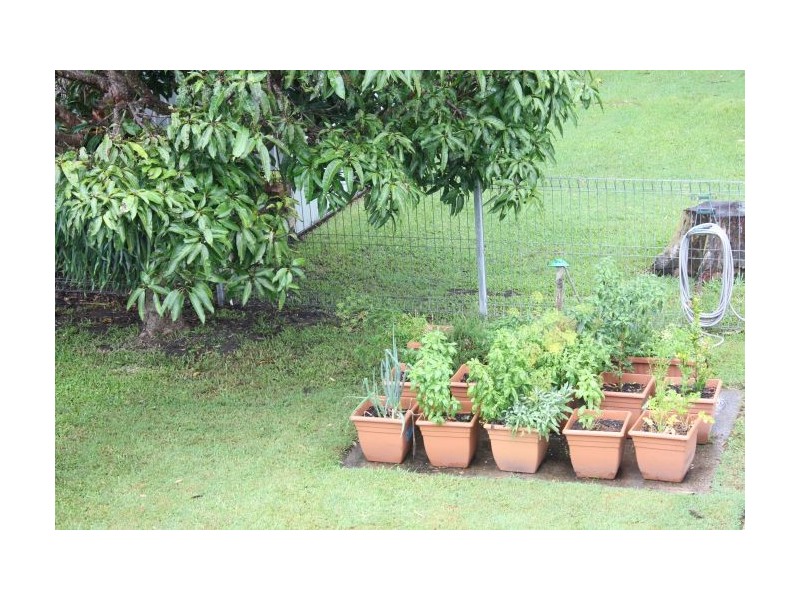 14 Arrawarra Beach Road Apartment,, Arrawarra NSW 2456