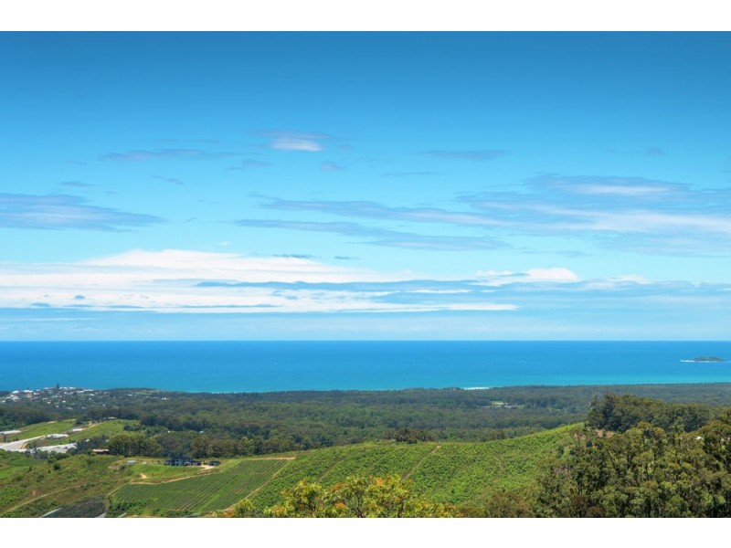 184 Condons Road, Sandy Beach NSW 2456