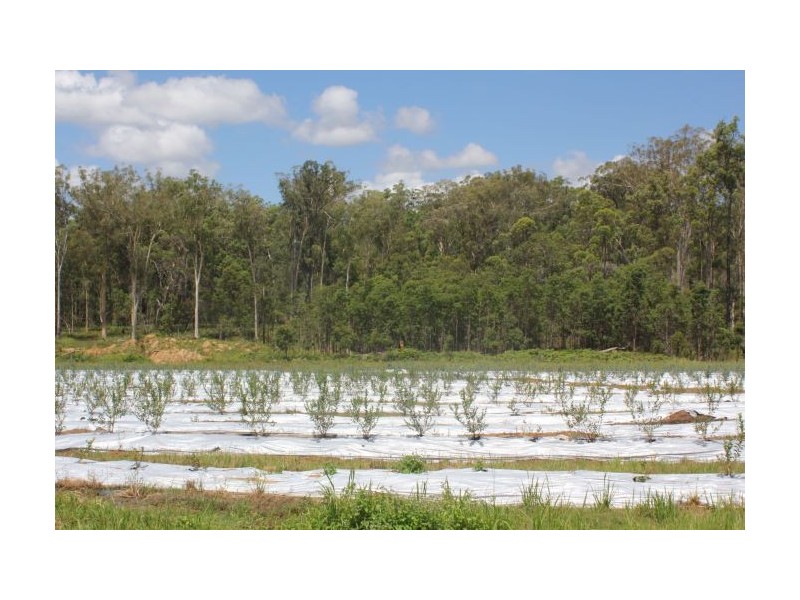 653  Parker Rd, Lanitza NSW 2460