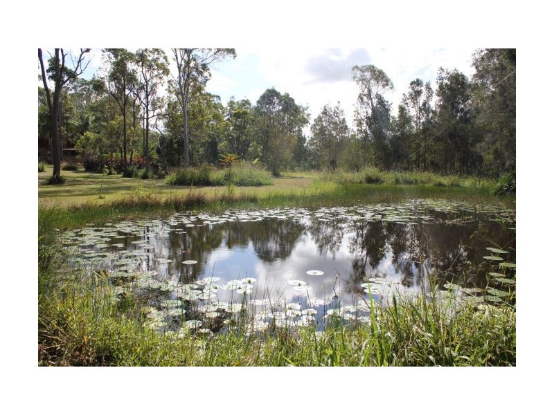 101 Graham Drive, Sandy Beach NSW 2456