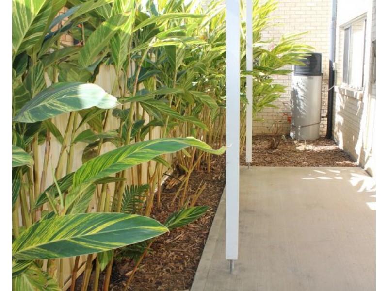 1 49 River Street, Woolgoolga NSW 2456