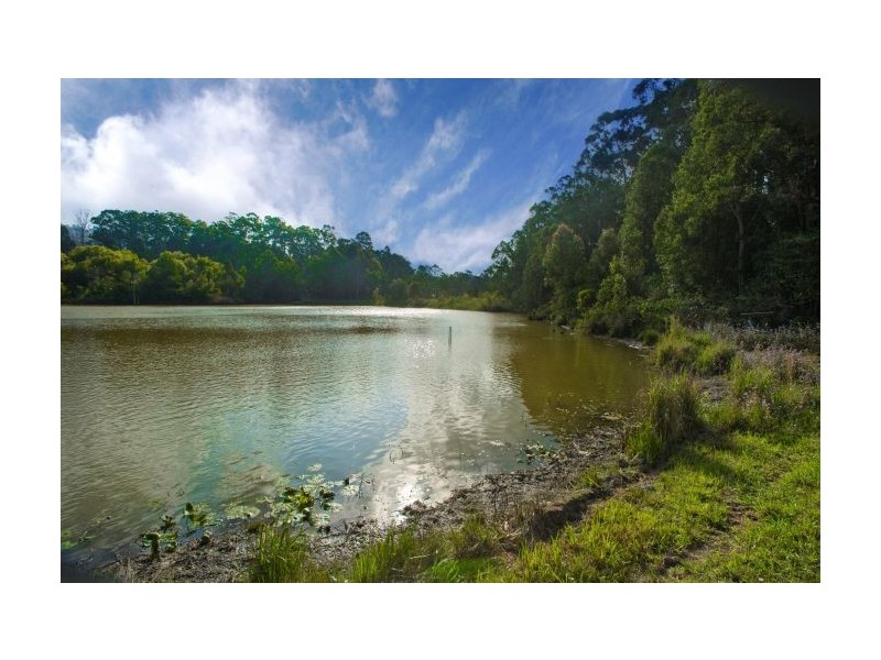 28 Park Avenue, Woolgoolga NSW 2456