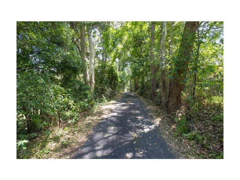 31 Gaudrons Rd, Sapphire Beach NSW 2450