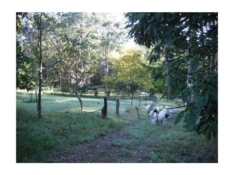 45 Palmer Rd, Woolgoolga NSW 2456
