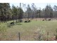 812 Parker Rd, Lanitza NSW 2460