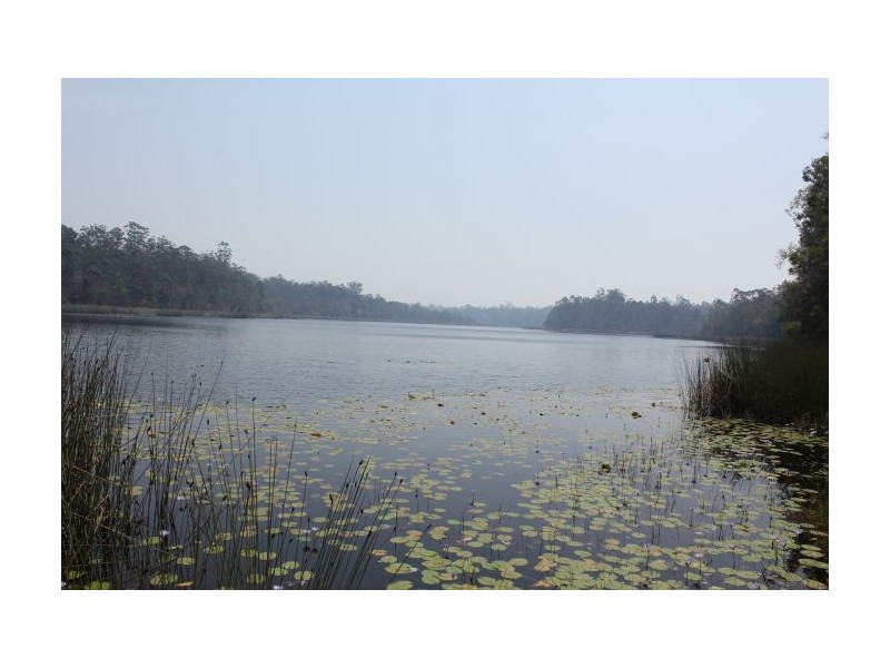 548 Parker Rd, Lanitza NSW 2460