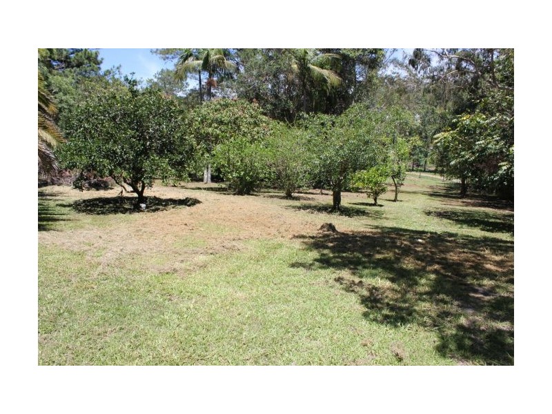 41 Shearer Drive, Woolgoolga NSW 2456