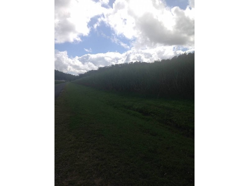 Lot 4 384 Langdon Lumburra Road, Gargett QLD 4741