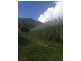 Lot 51 Gargett Septimus Road, Gargett QLD 4741