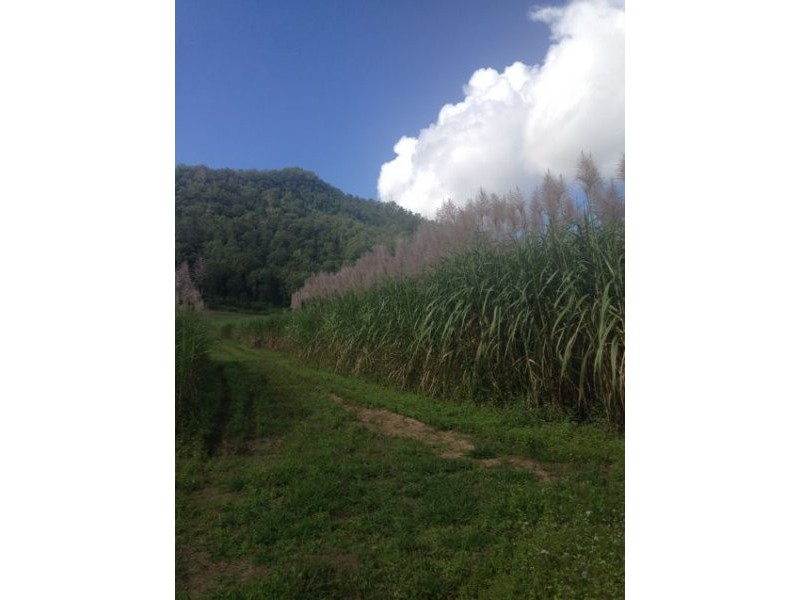 Lot 51 Gargett Septimus Road, Gargett QLD 4741