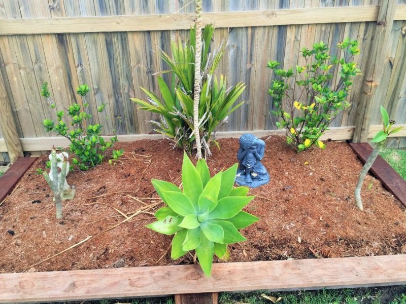 10 Hoffman Drive, Marian QLD 4753