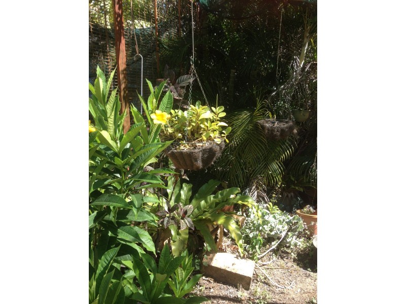229 Slade Point Road, Slade Point QLD 4740