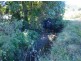 Marian Hampden Rd, Marian QLD 4753