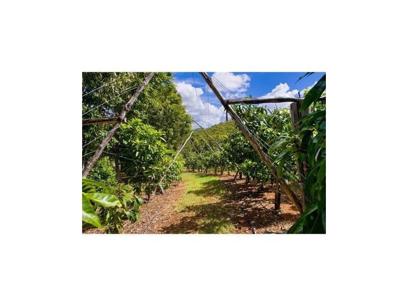 The Caves QLD 4702