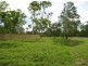 Lot 201 & 202 Corner of Denison & Water Street, Nebo QLD 4742