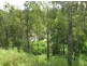Lot 201 & 202 Corner of Denison & Water Street, Nebo QLD 4742