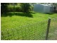 16 Avocado Court, Beaconsfield QLD 4740
