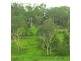 Lot 4 Danmaar Drive, Habana QLD 4740