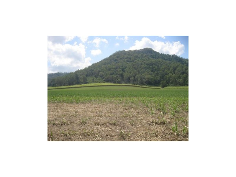 508 L 21 &24 Owens Creek Loop Rd, Gargett QLD 4741