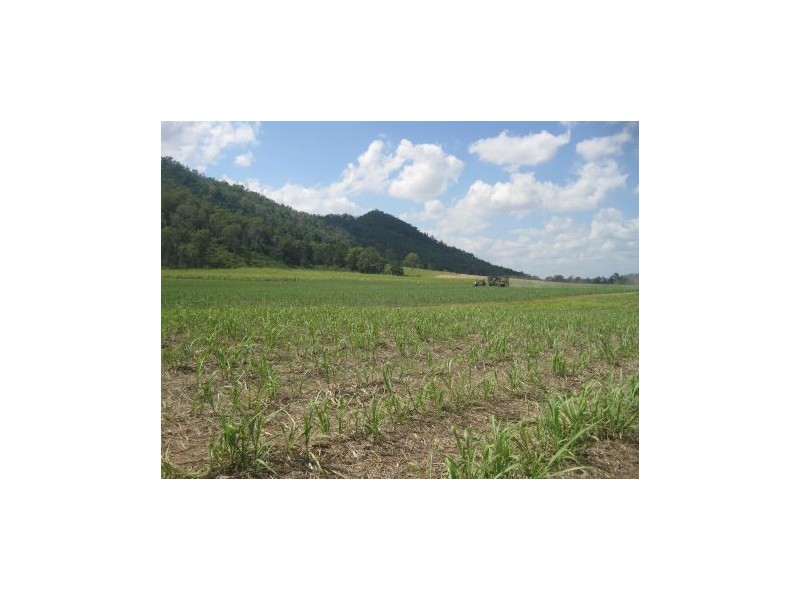 508 L 21 &24 Owens Creek Loop Rd, Gargett QLD 4741