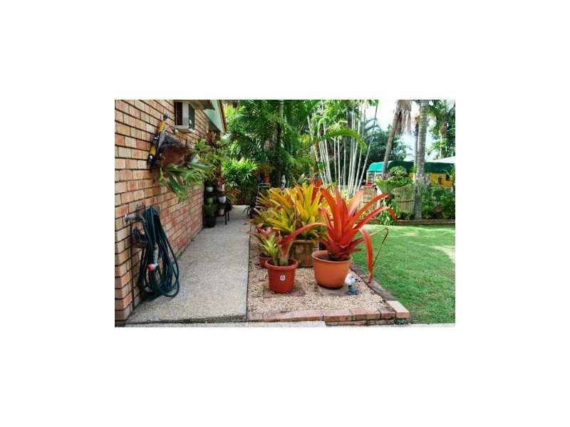 46 Davey St, Glenella QLD 4740