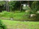 110 Range Road, Sarina QLD 4737