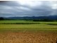 Gargett QLD 4741