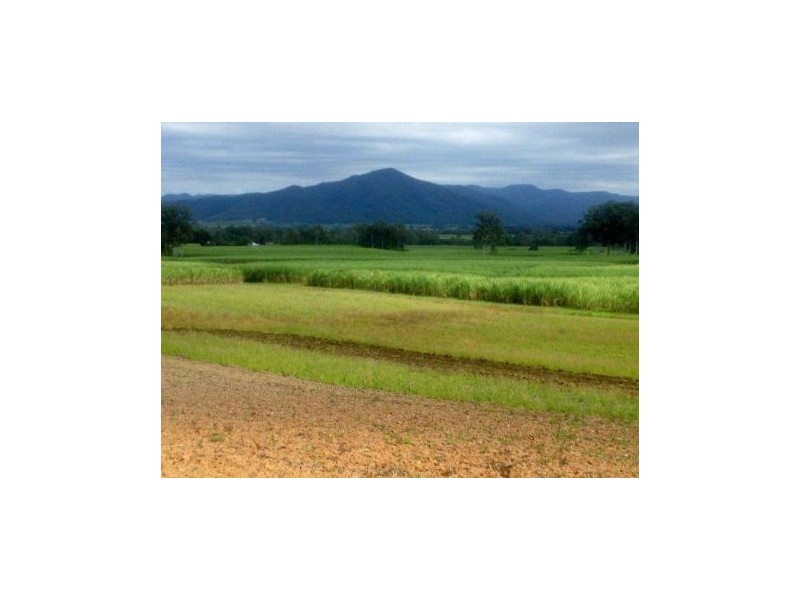 Gargett QLD 4741