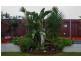 4 Crestview Crescent, Bucasia QLD 4750