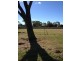 Lot 144 & 145 Suttor Road, Nebo QLD 4742
