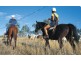 Lot 144 & 145 Suttor Road, Nebo QLD 4742