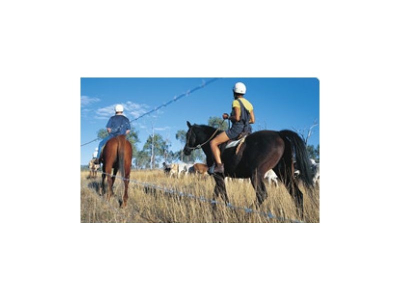 Lot 144 & 145 Suttor Road, Nebo QLD 4742
